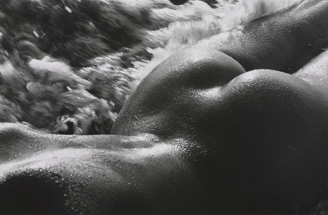 MODEL'S '' ART NUDE '' + 18 
